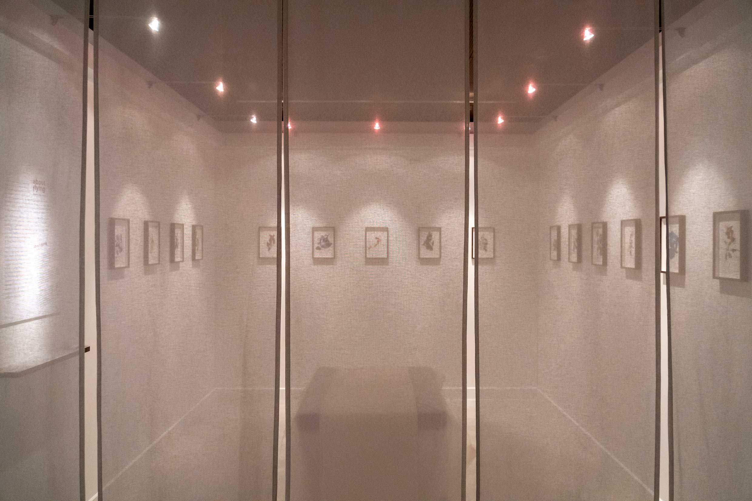 Réapprendre notre lien avec la terre