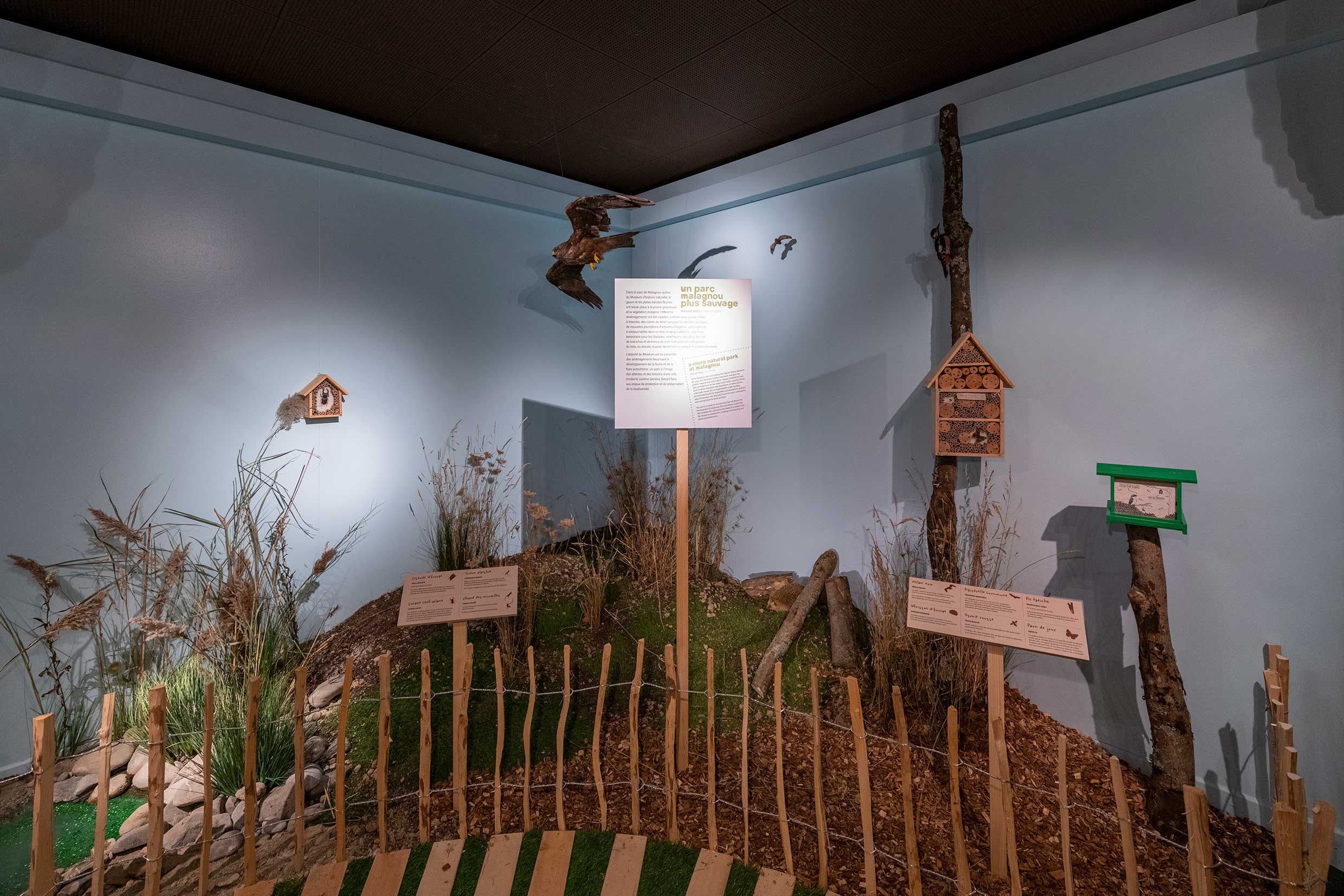 Réapprendre notre lien avec la terre