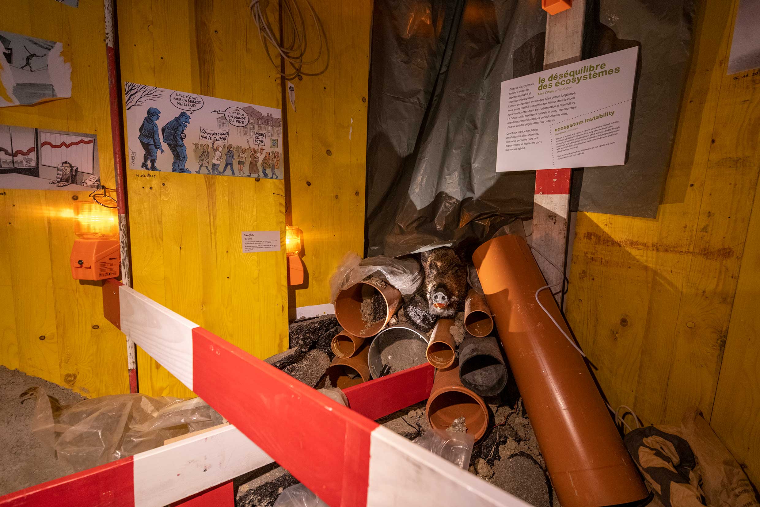 Réapprendre notre lien avec la terre