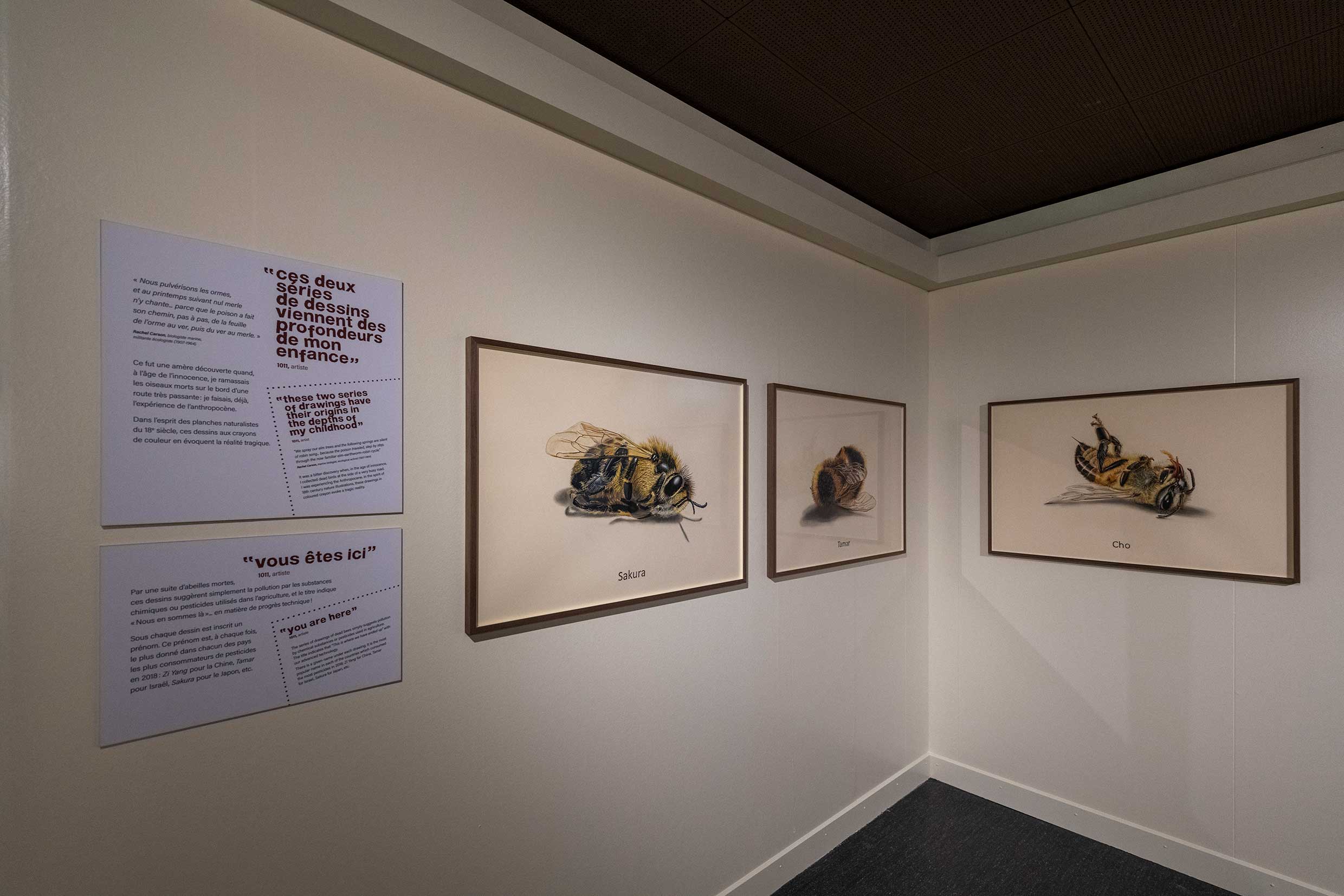 Réapprendre notre lien avec la terre