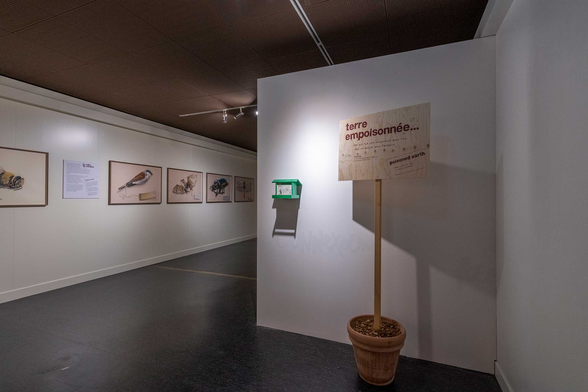 Réapprendre notre lien avec la terre