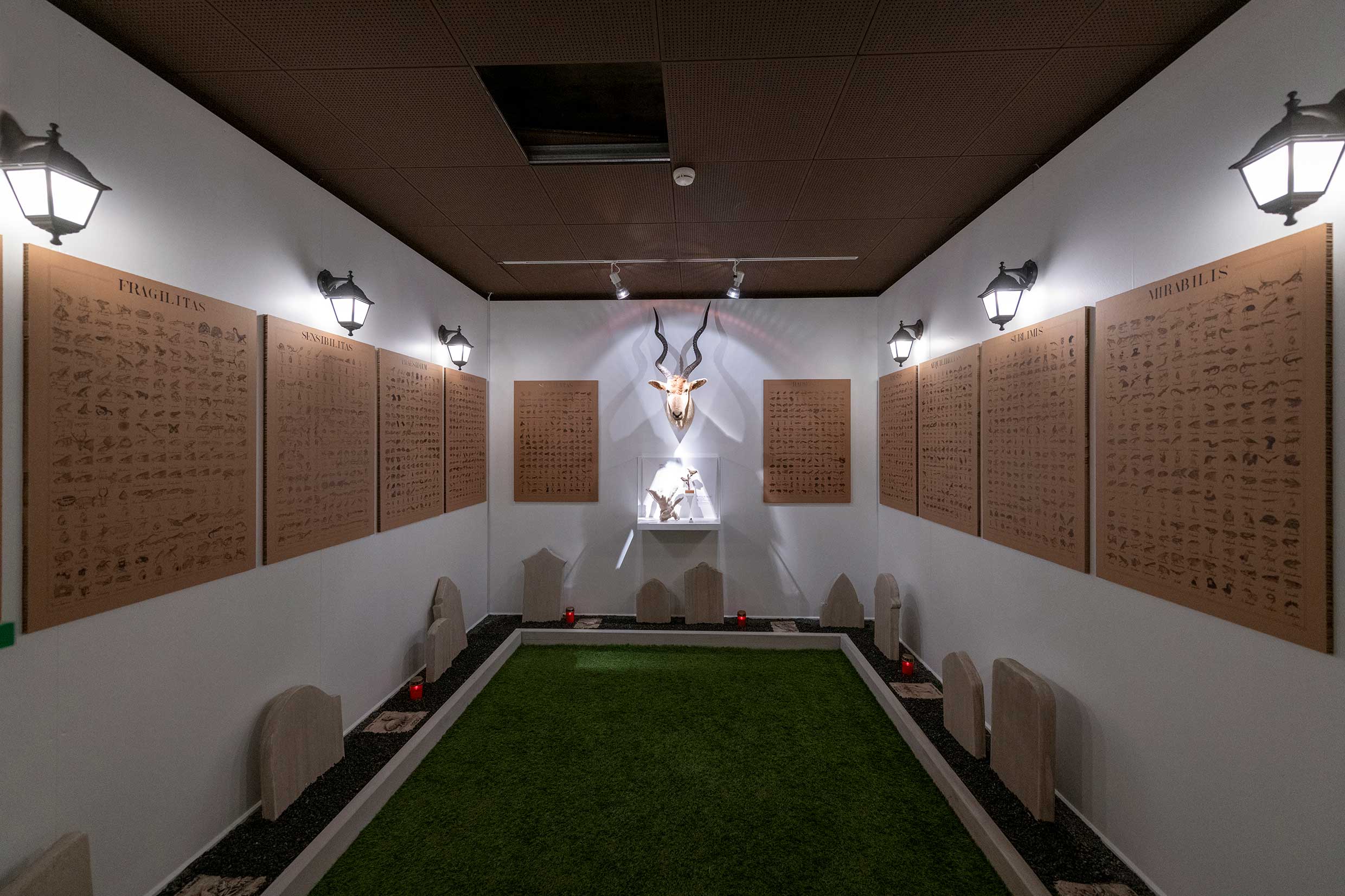 Réapprendre notre lien avec la terre