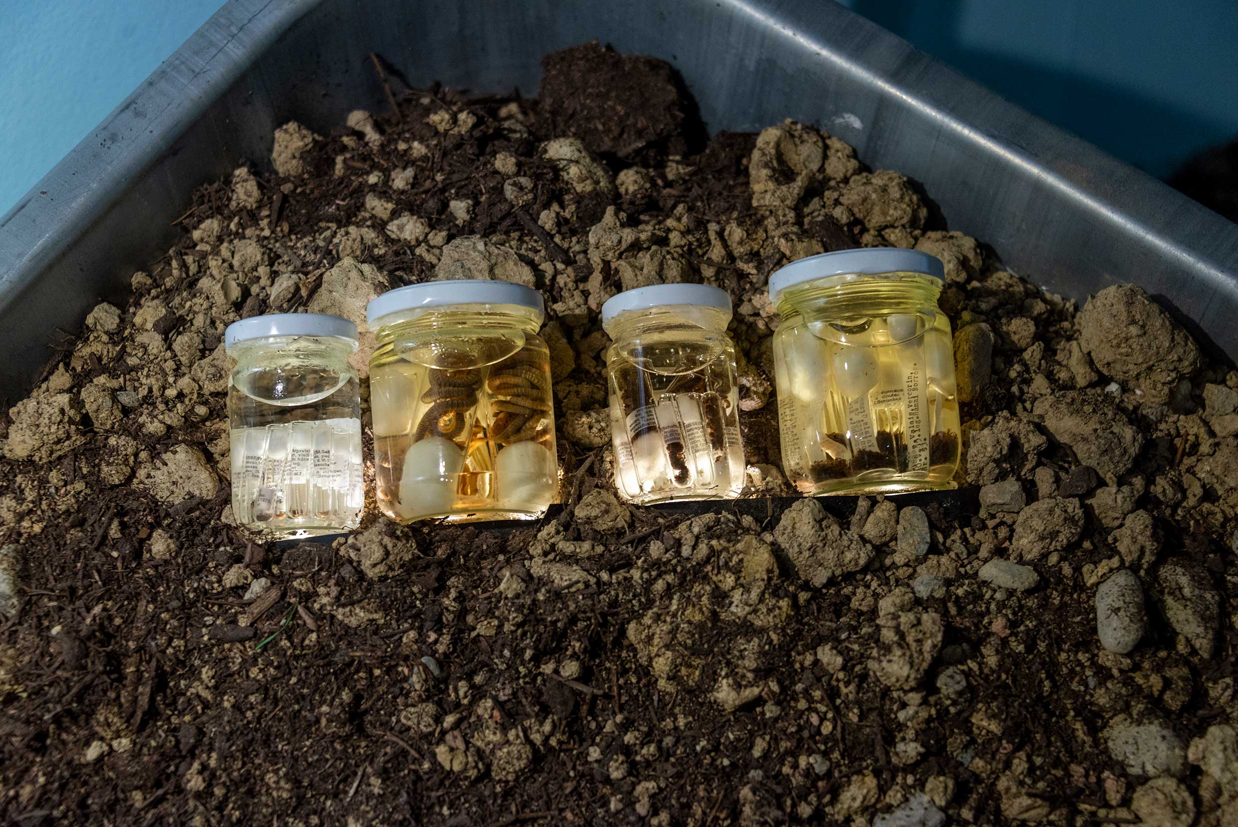 Réapprendre notre lien avec la terre