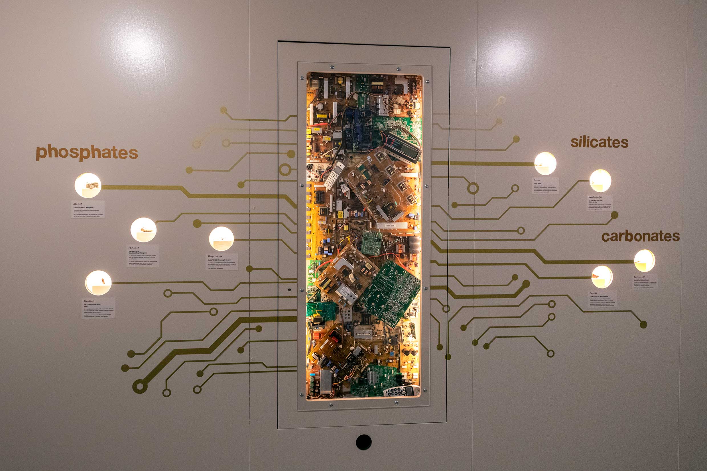 Réapprendre notre lien avec la terre