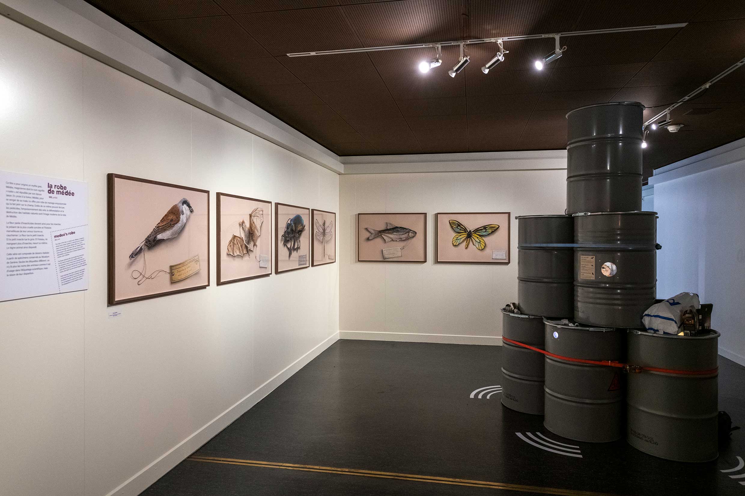 Réapprendre notre lien avec la terre