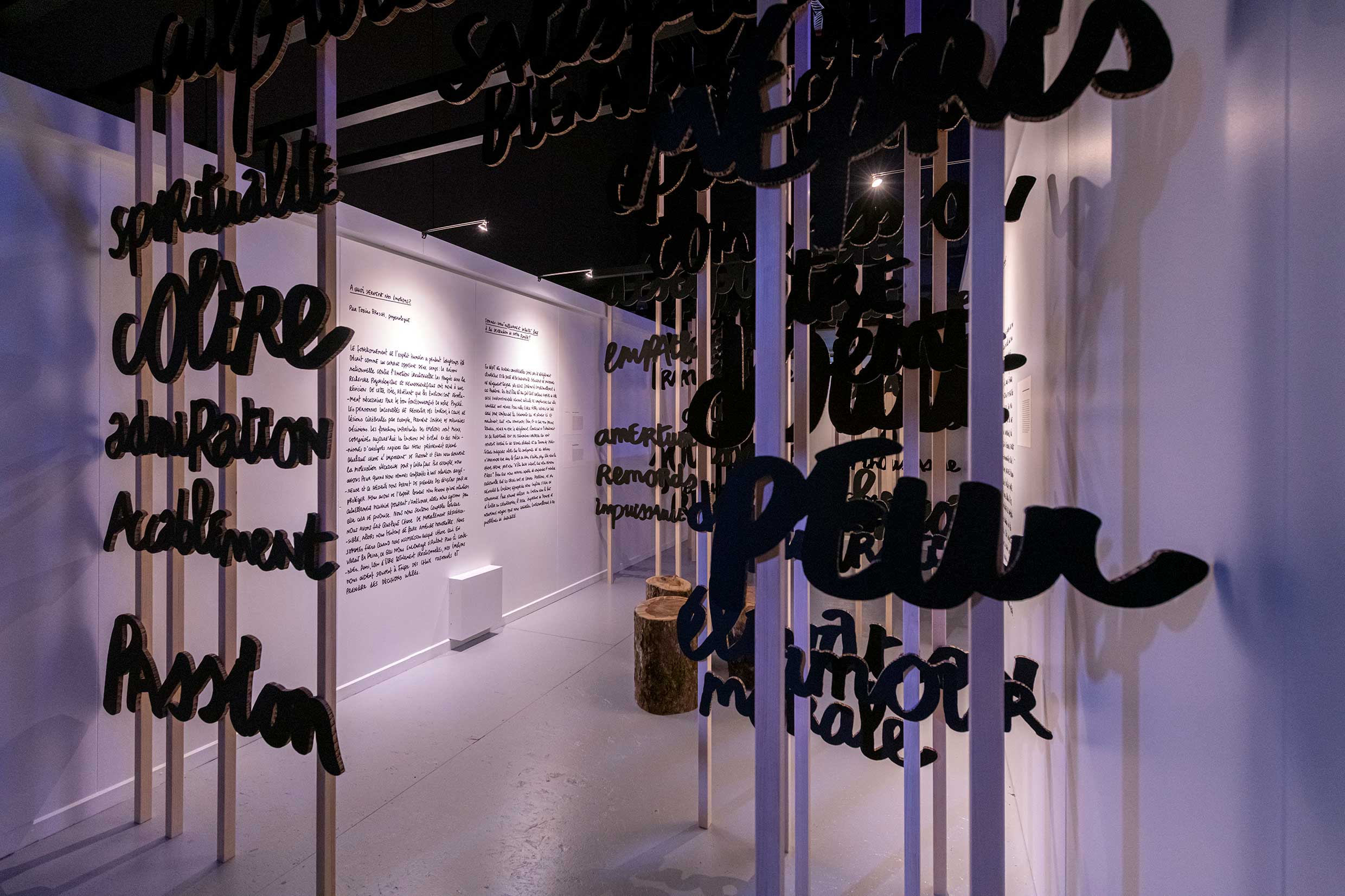 Réapprendre notre lien avec la terre