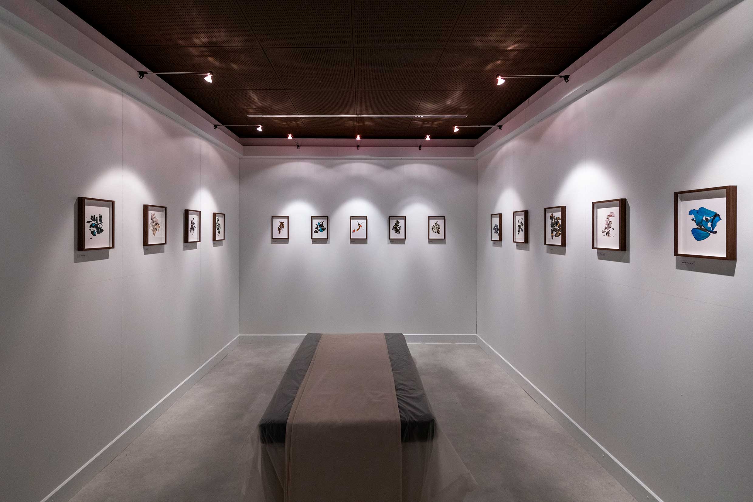 Réapprendre notre lien avec la terre