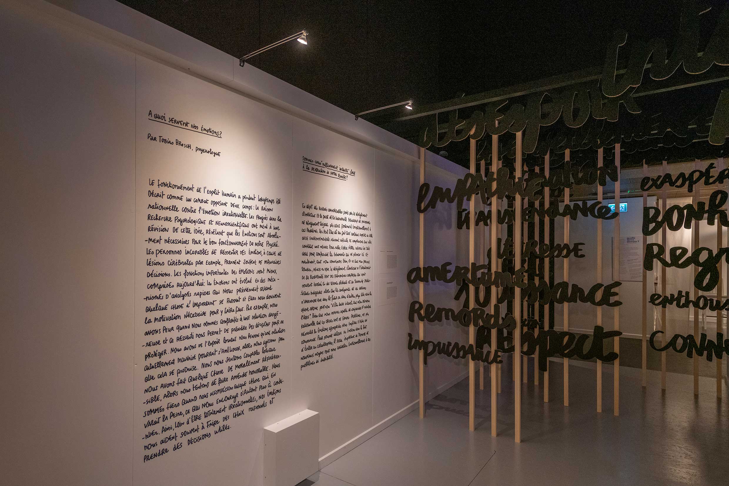 Réapprendre notre lien avec la terre