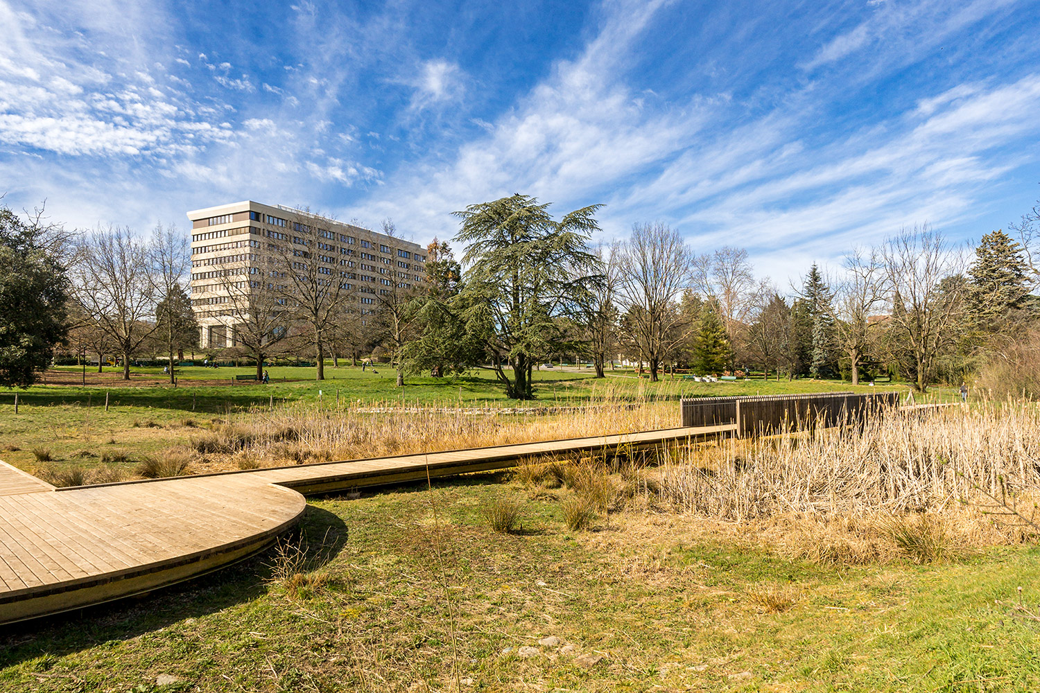 Parc vert, ciel bleu et nuages