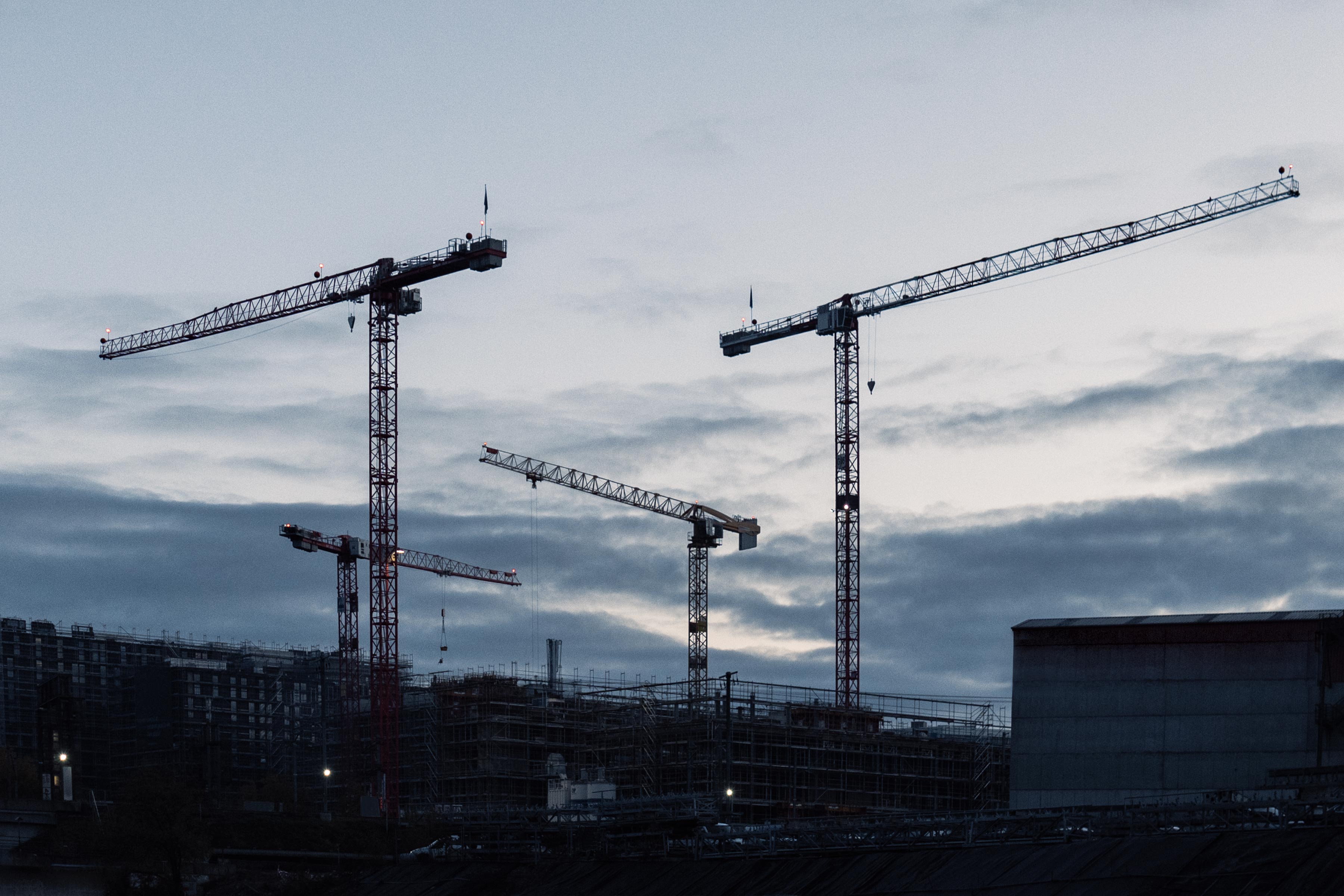 Grues sous le ciel bleu